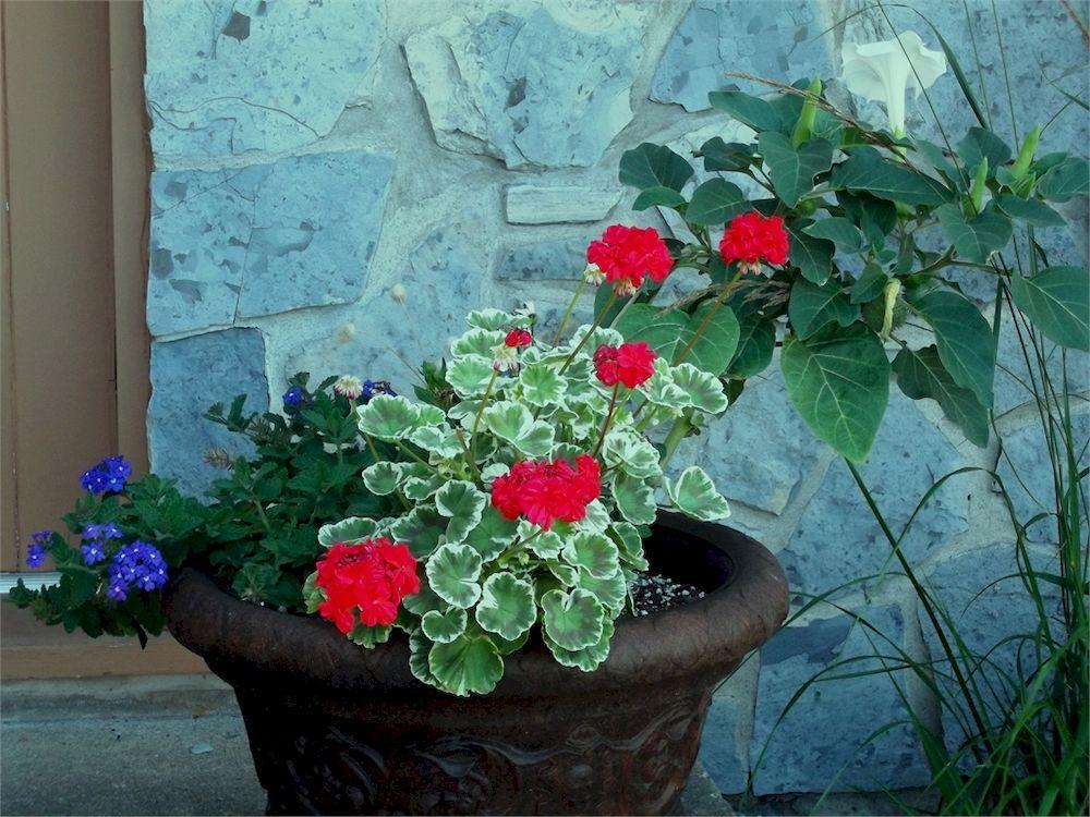 Saint-Jean-de-Boischâtel オー ギット デ ラ シュート Bed & Breakfast エクステリア 写真